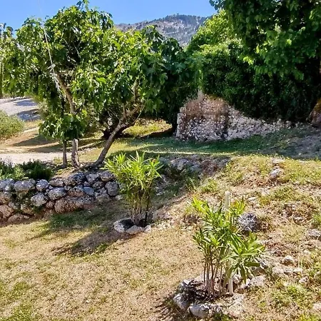 فيلة Katerina Kefalonia Epanochori (Kefalonia)